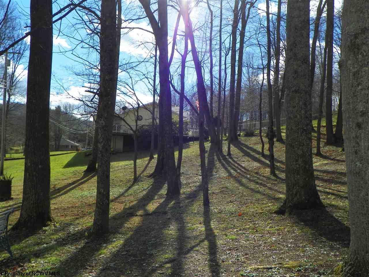 1225 Suds Run Road Mount Clare, WV 26408 - Photo 9 of 18 Gallery Image 9
