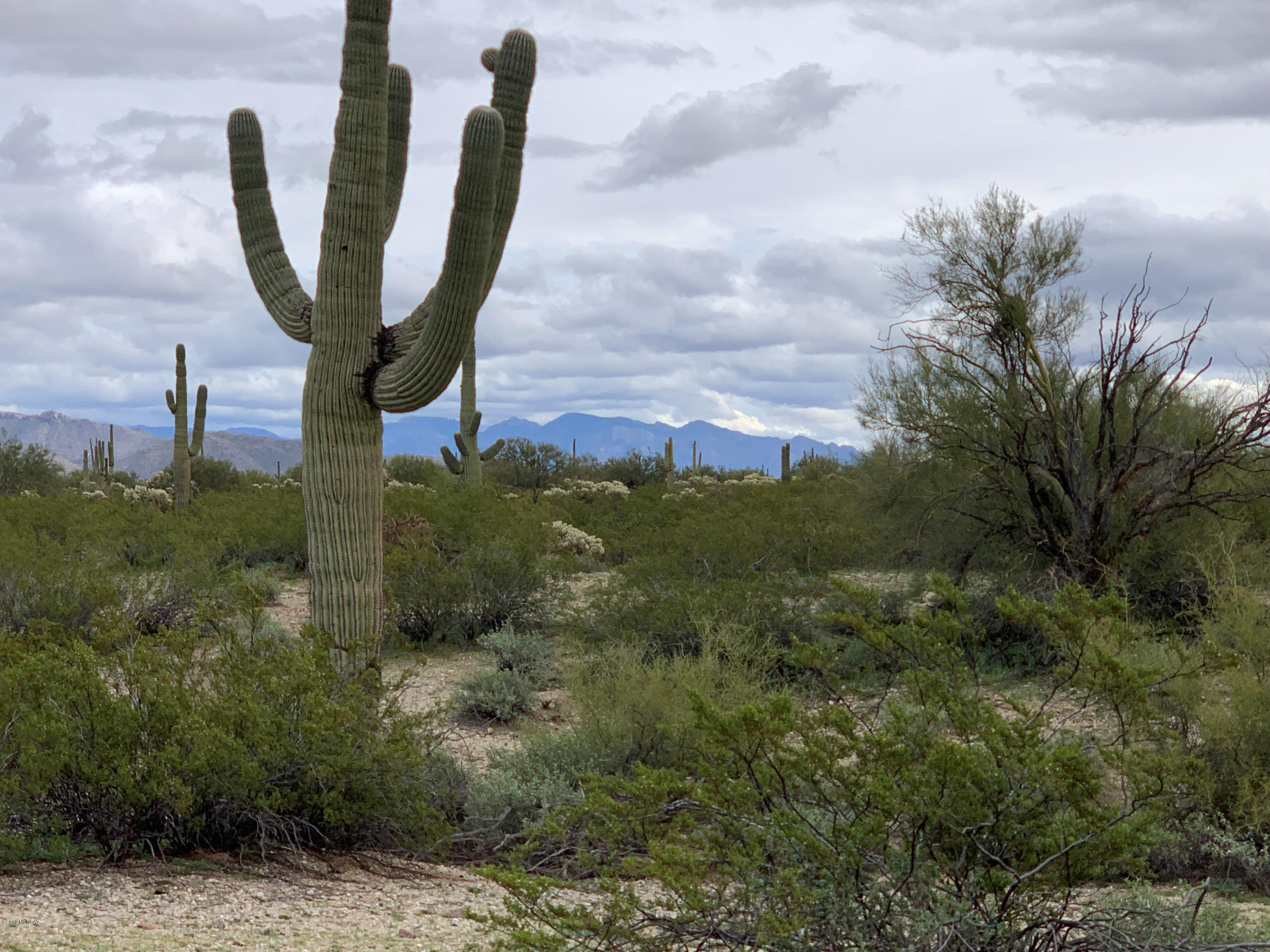 East Annadale Road Marana, AZ 85658 - Photo 2 of 2
