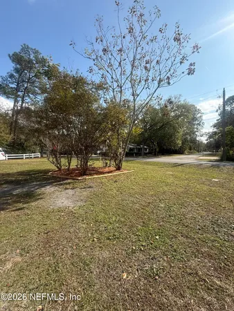 a view of yard with trees