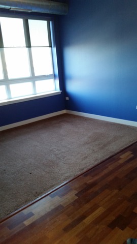 450 Village Center Drive, Unit 414 Burr Ridge, IL 60527 - Photo 10 of 10 an empty room with a window