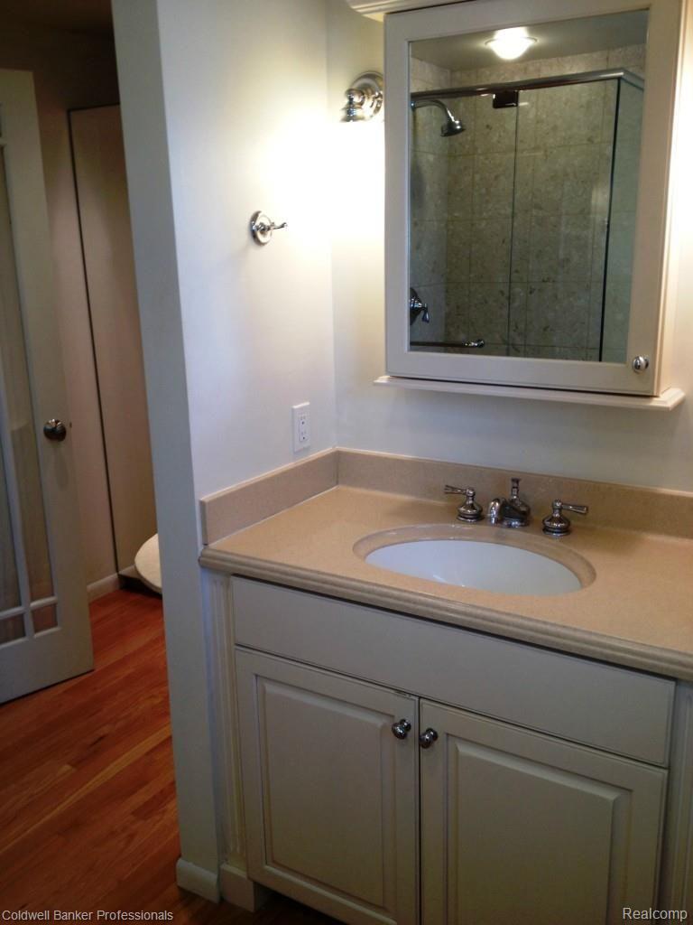 21107 Stanstead Road Northville, MI 48167 - Photo 23 of 27 Master Bath2 - HD.jpg