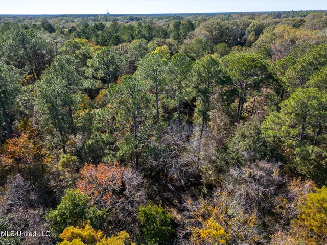 $466,500 | R B Dickerson Road, Moss Point, MS 39562