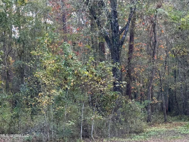 $466,500 | R B Dickerson Road, Moss Point, MS 39562