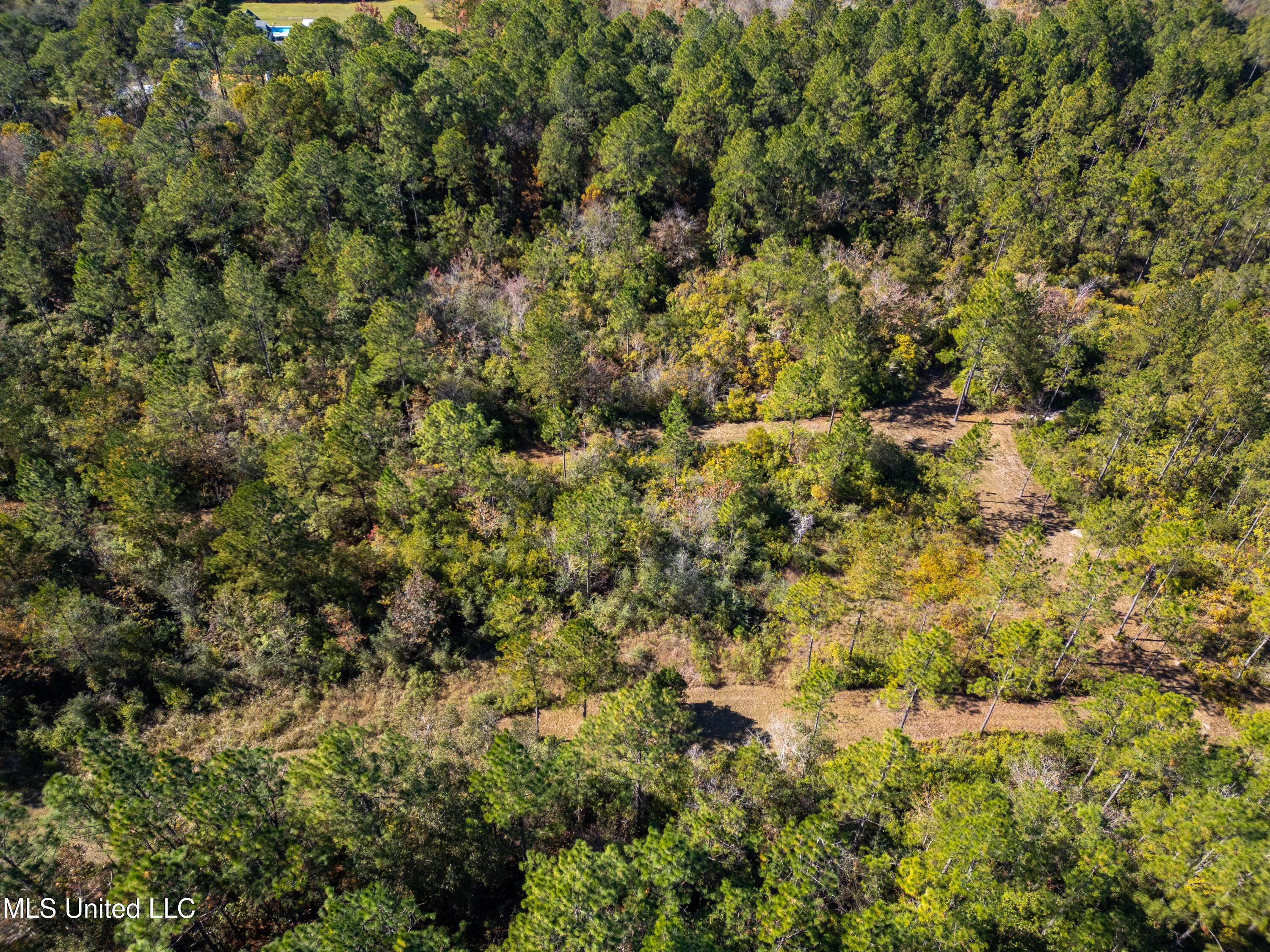 R B Dickerson Road Moss Point, MS 39562 - Photo 6 of 12 RB Dickerson Photo