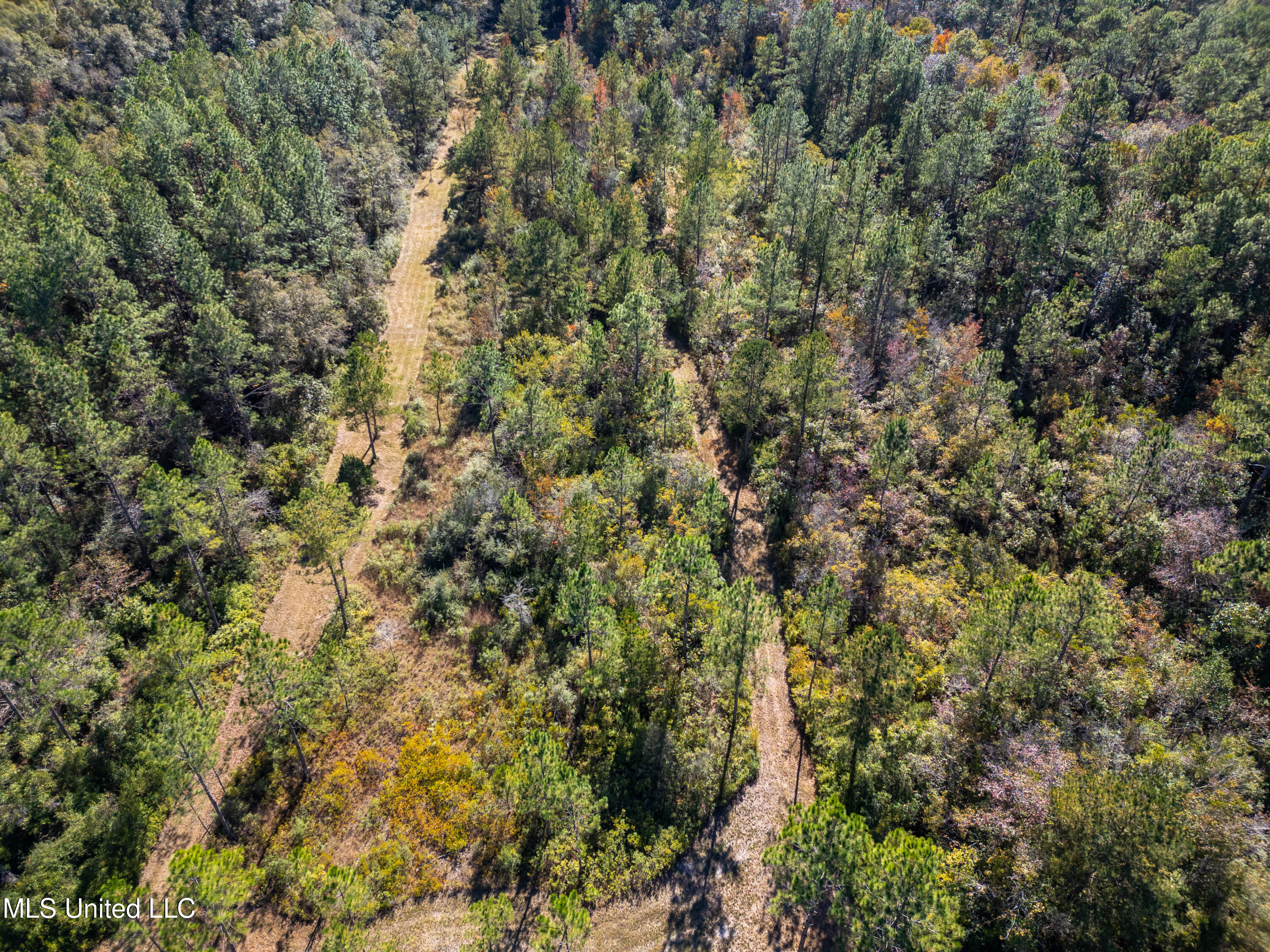 R B Dickerson Road Moss Point, MS 39562 - Photo 7 of 12 RB Dickerson Photo (2)