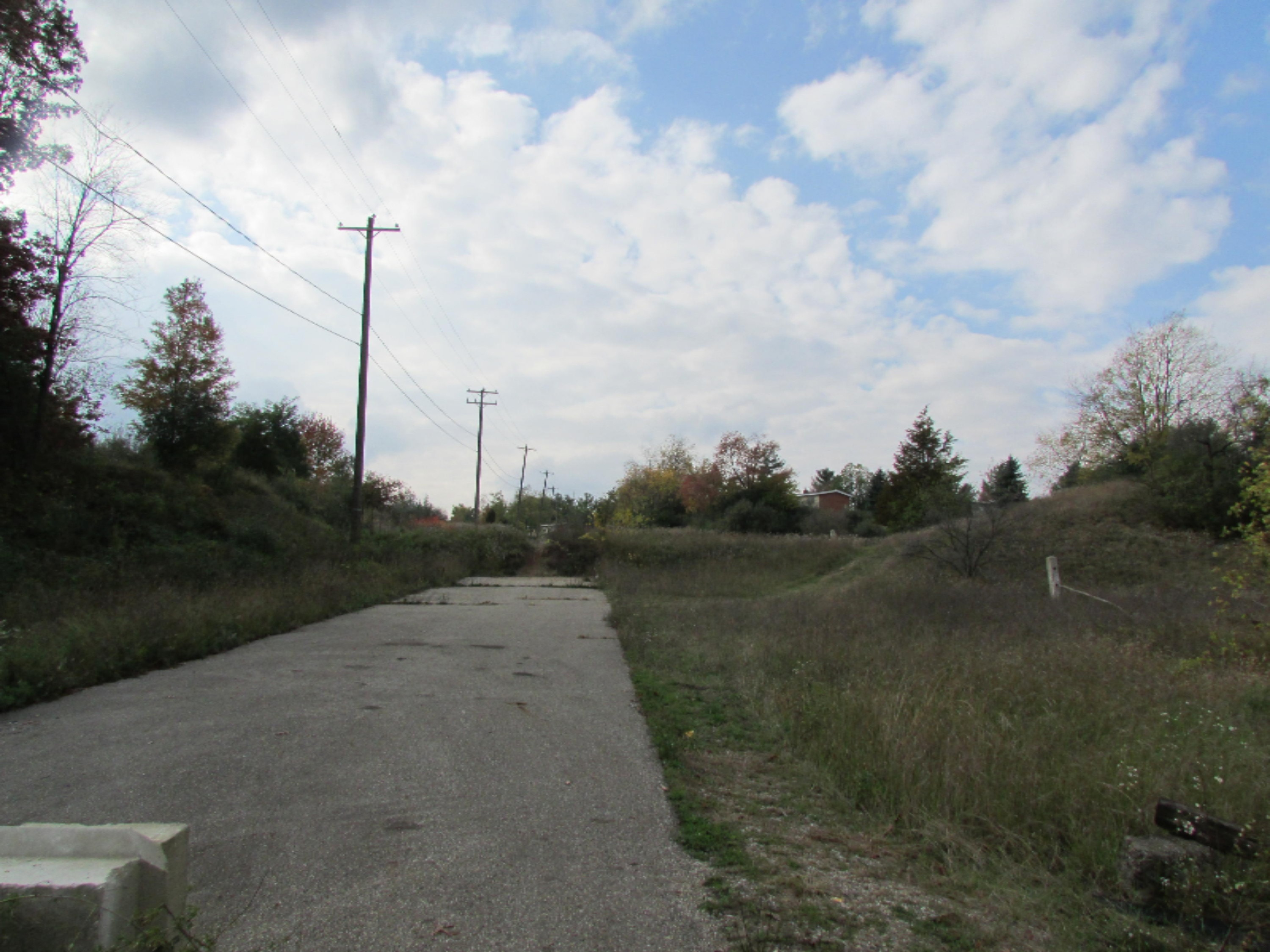 4546 West Dickman Road Battle Creek, MI 49037 - Photo 2 of 4 Harmonia Evergreen