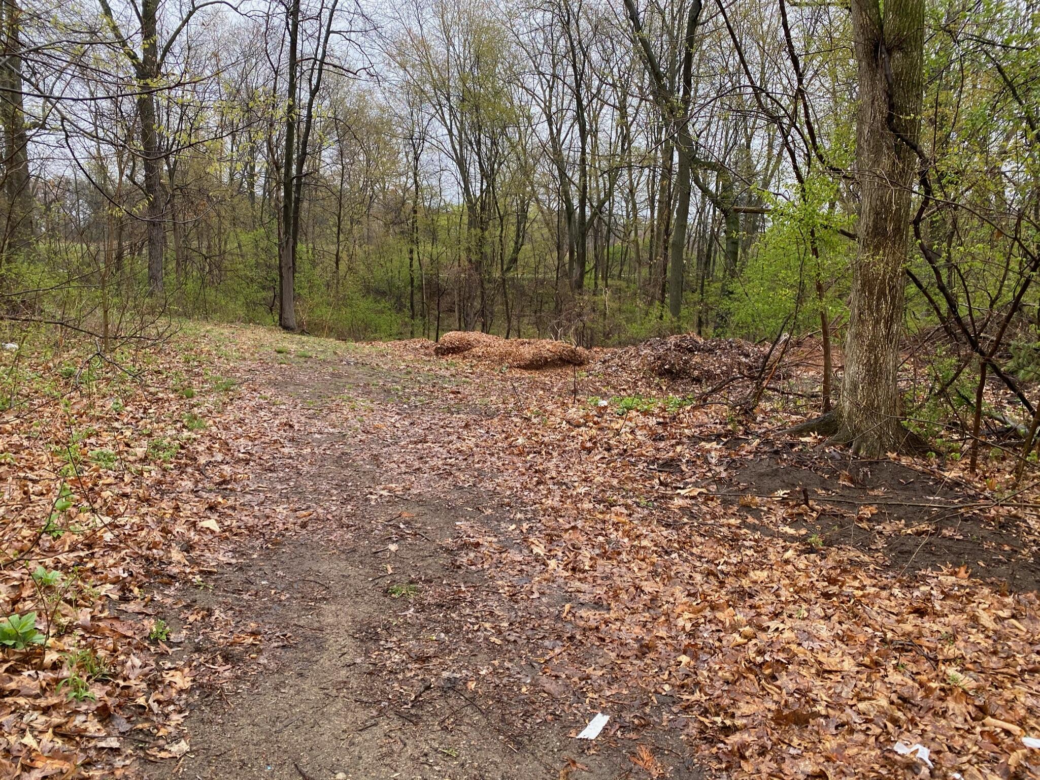 4546 West Dickman Road Battle Creek, MI 49037 - Photo 3 of 4 Tony Tiger