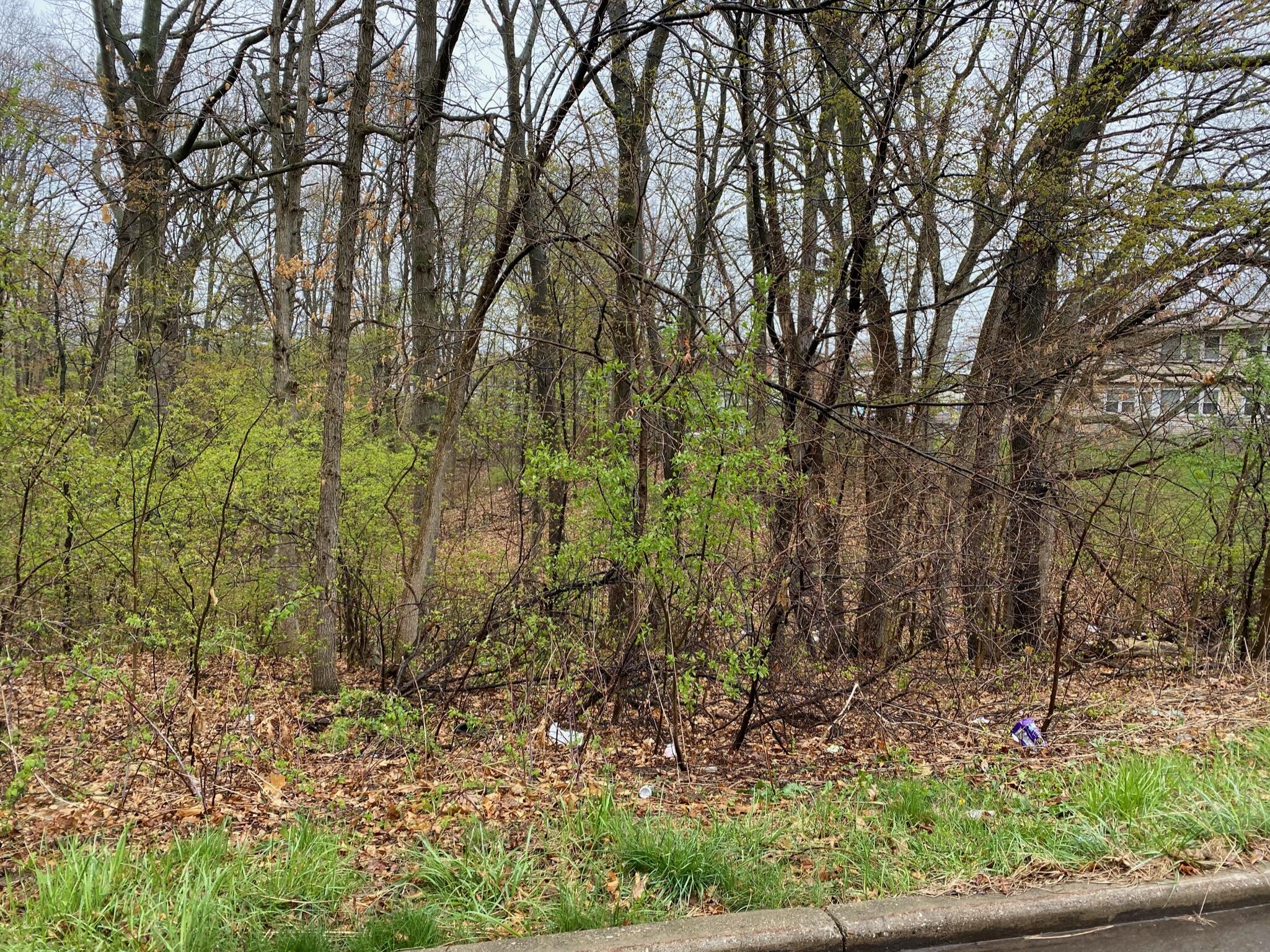 4546 West Dickman Road Battle Creek, MI 49037 - Photo 4 of 4 Tony Tiger 2