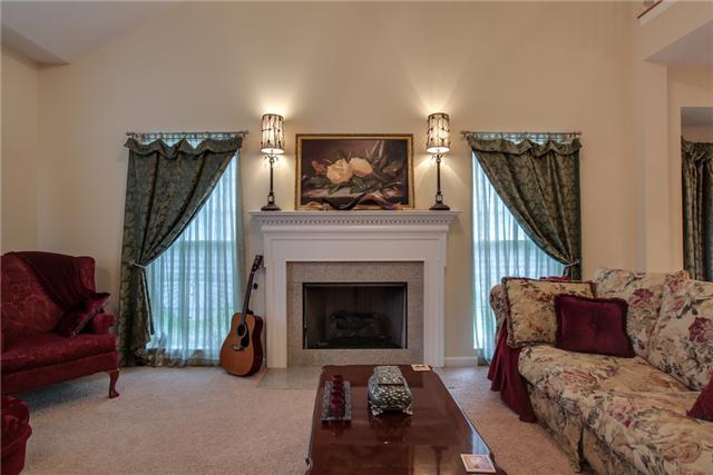 3000 Hope Circle Spring Hill, TN 37174 - Photo 6 of 20 Family Room with Fireplace