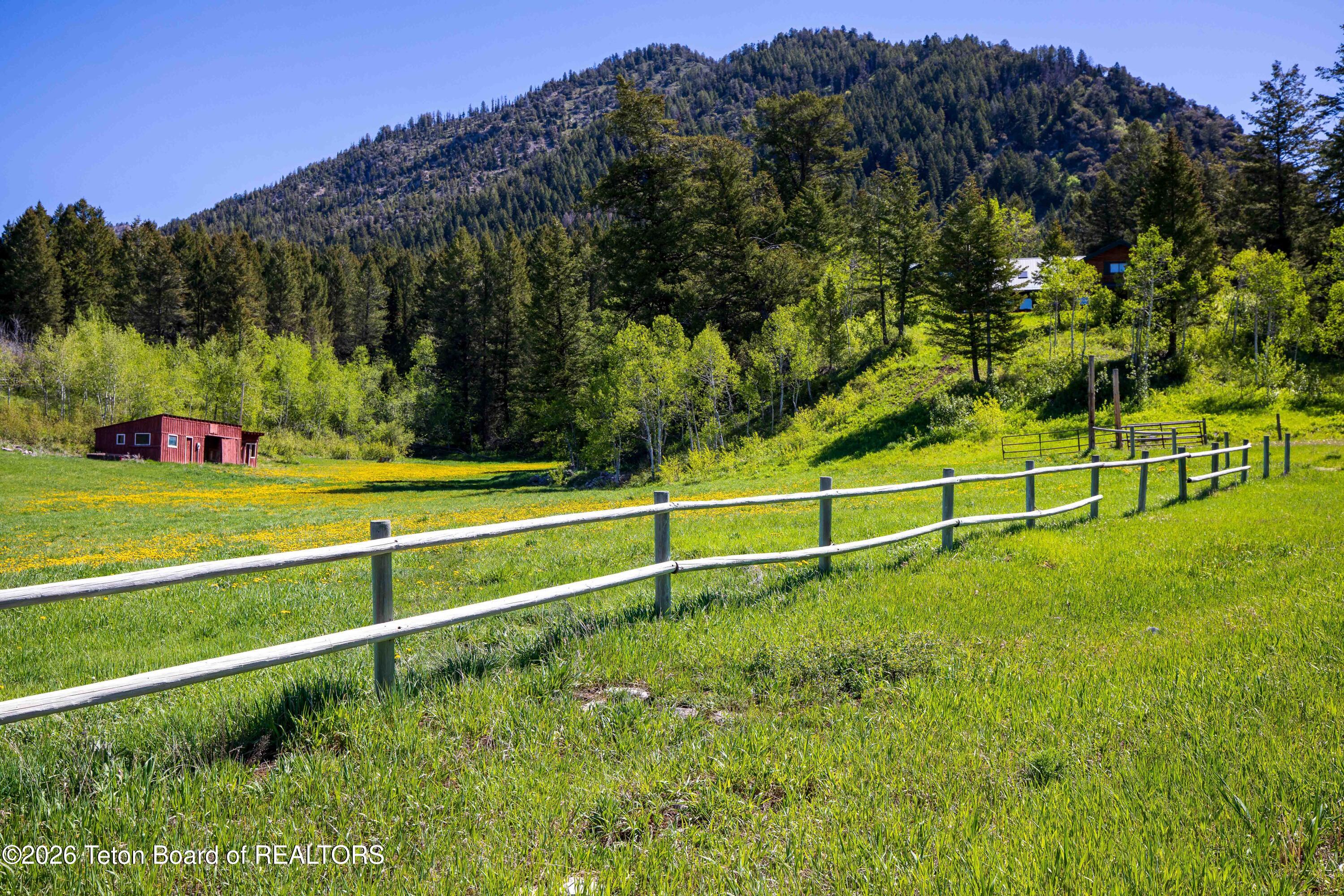 2903 Stewart Trl Road Etna, WY 83118 - Photo 17 of 21 2903 Stewart Trail Rd IMG_7282