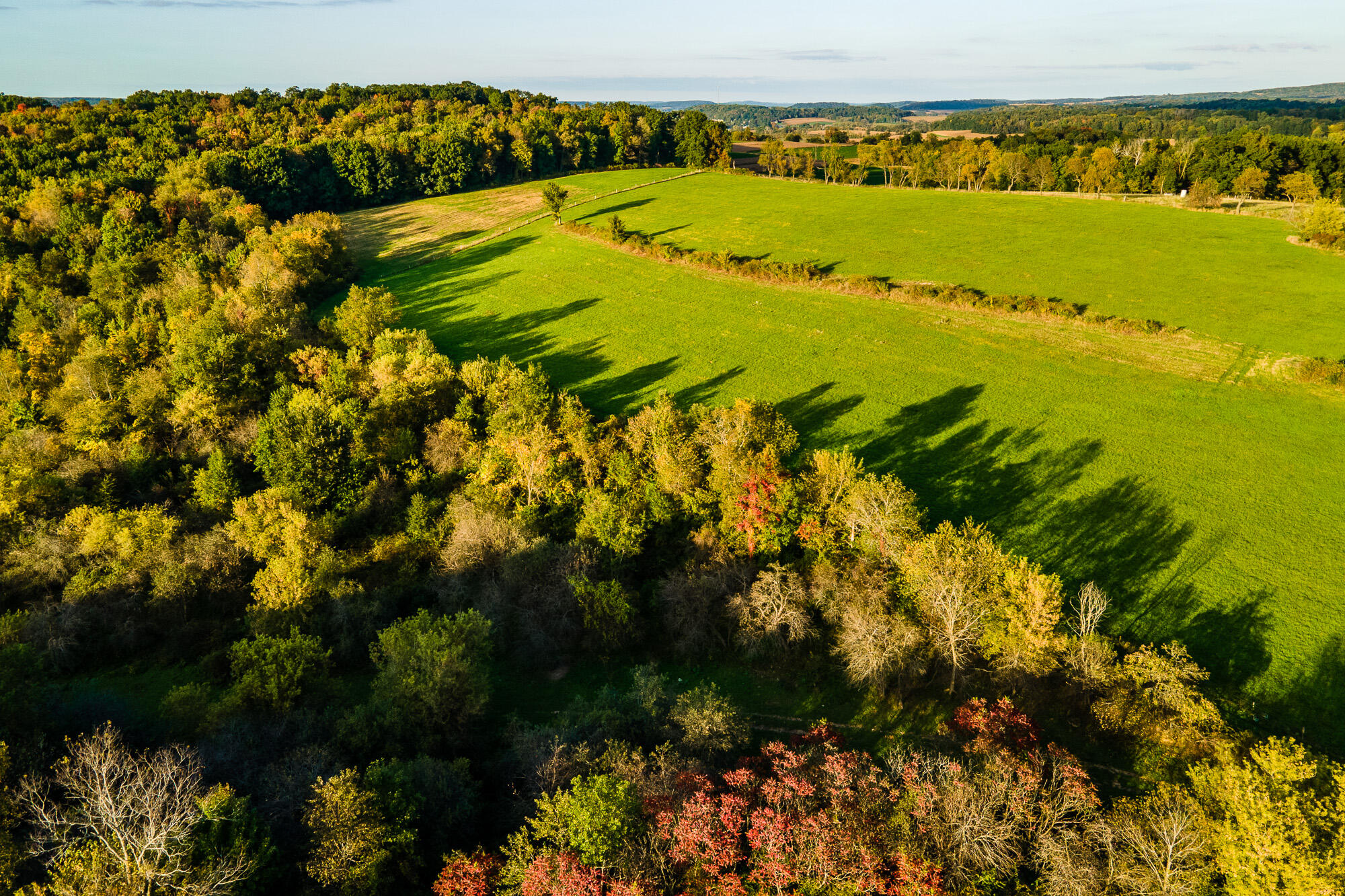 Lt1 Eli Valley Road Loganville, WI 53943 - Photo 32 of 49 Sauk-County-WI-68-Acres-Land-For-Sale-Fa