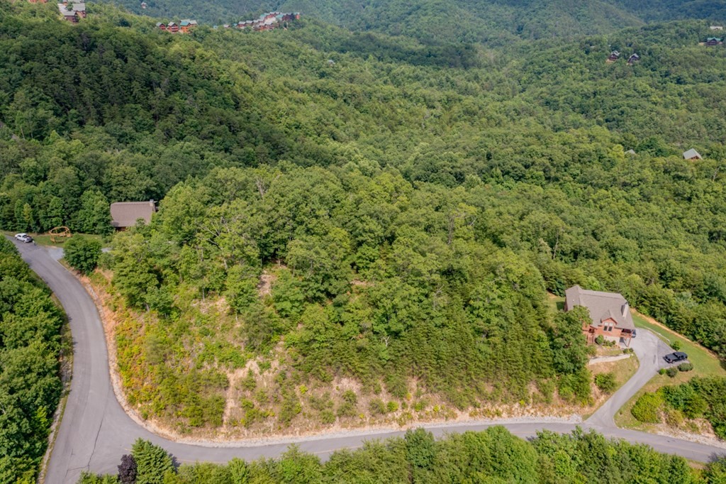 28 Covered Wagon Road Sevierville, TN 37862 - Photo 9 of 10 Gallery Image 9