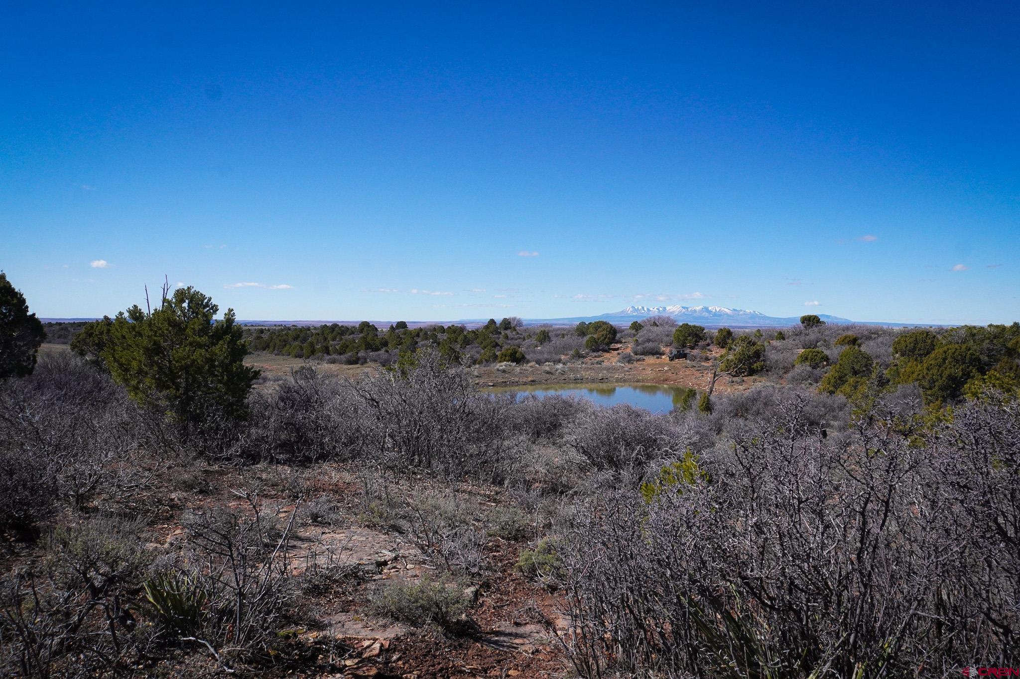 Tbdwp County Line Road Dove Creek, CO 81324 - Photo 1 of 41 a view of a dry field