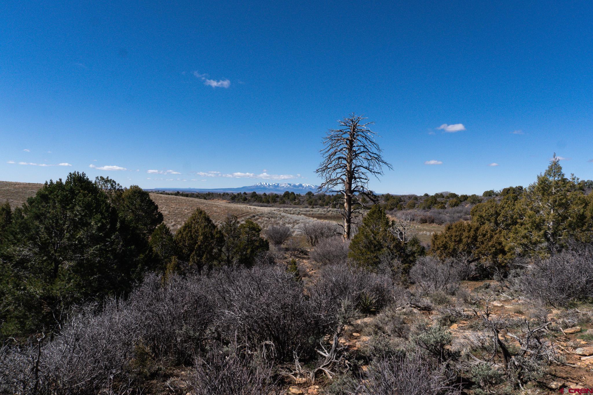 Tbdwp County Line Road Dove Creek, CO 81324 - Photo 11 of 41 a view of a city