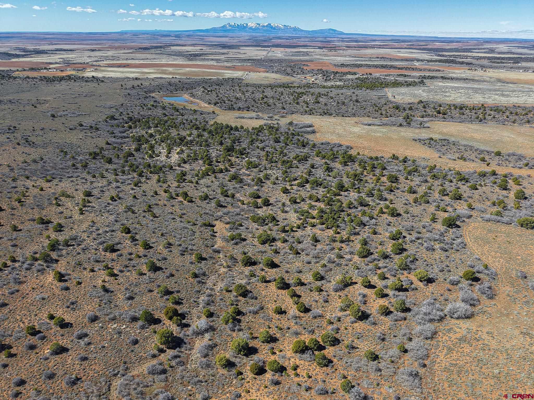 Tbdwp County Line Road Dove Creek, CO 81324 - Photo 17 of 41