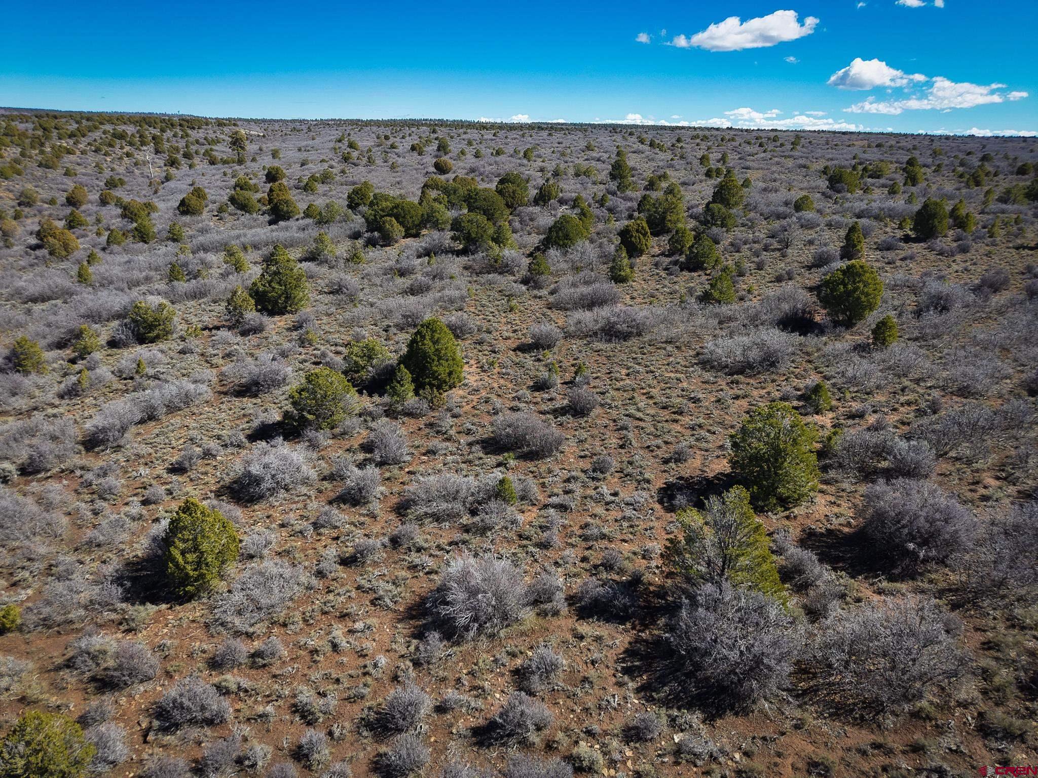 Tbdwp County Line Road Dove Creek, CO 81324 - Photo 28 of 41 a view of a dry yard
