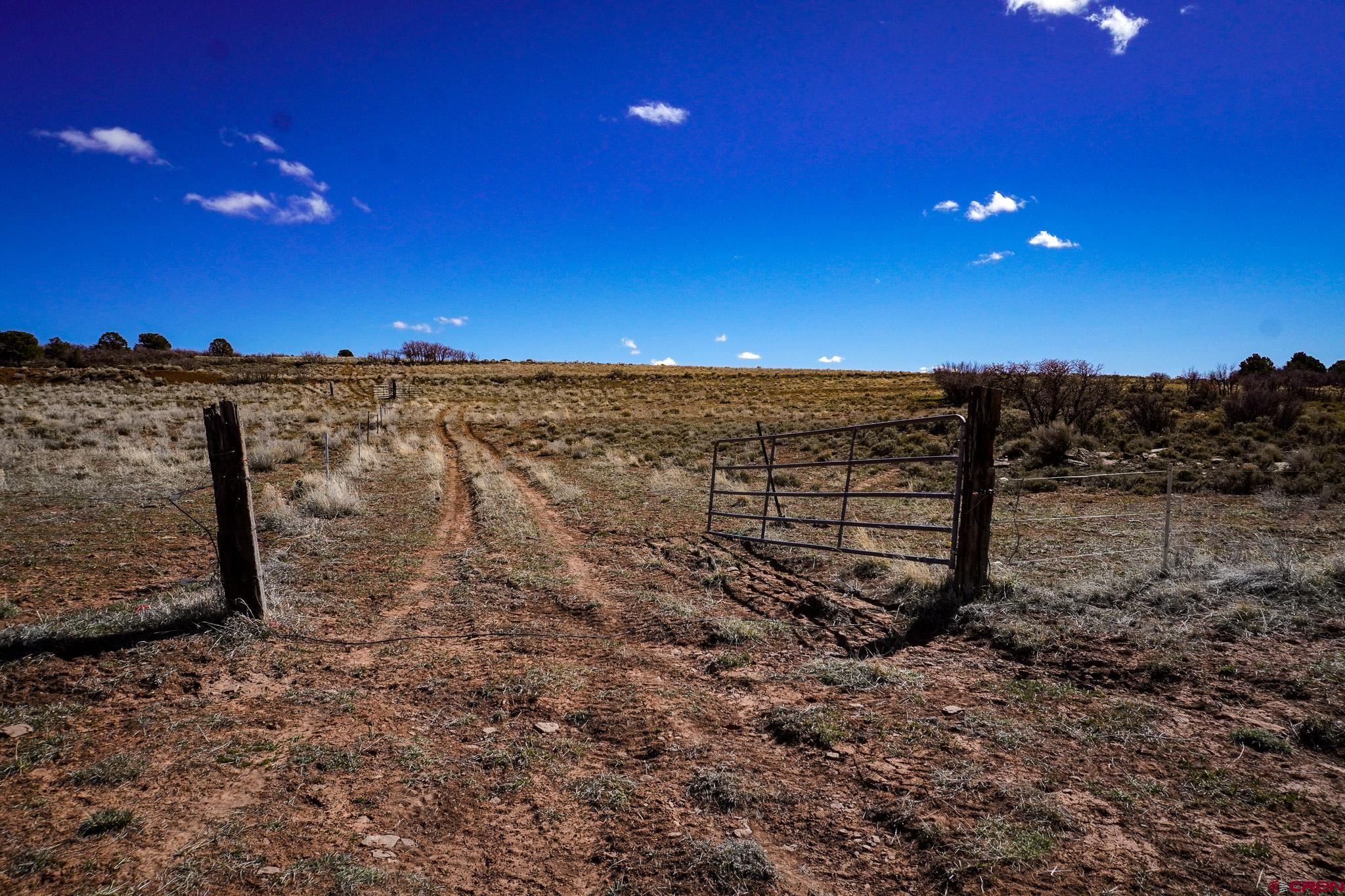 Tbdwp County Line Road Dove Creek, CO 81324 - Photo 32 of 41