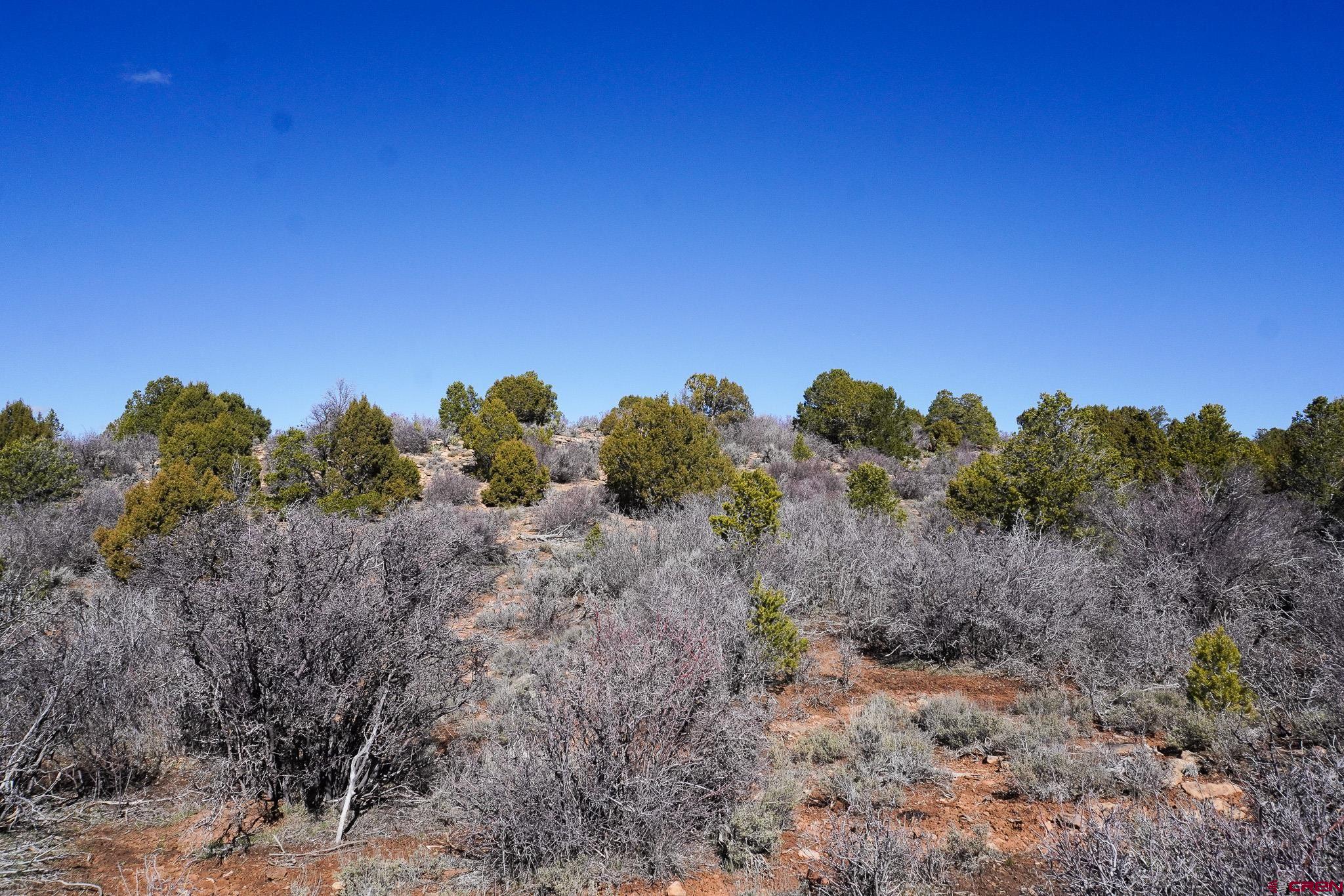 Tbdwp County Line Road Dove Creek, CO 81324 - Photo 35 of 41 a view of a dry yard with trees