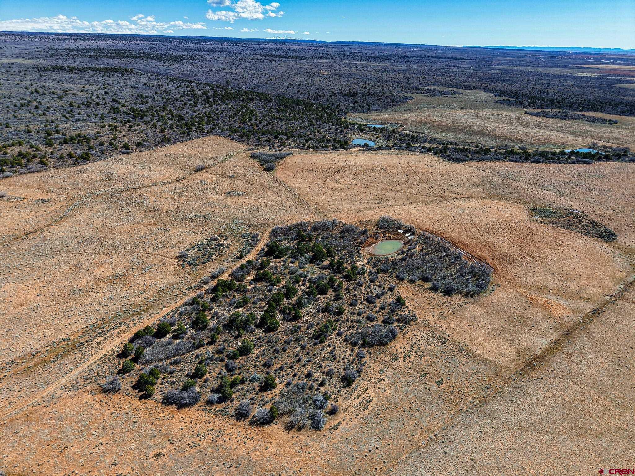 Tbdwp County Line Road Dove Creek, CO 81324 - Photo 4 of 41 a view of a yard with wooden fence