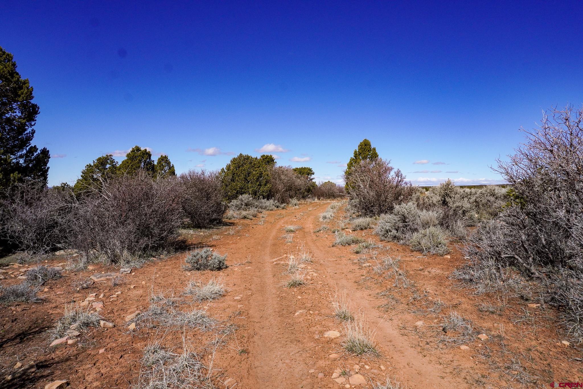 Tbdwp County Line Road Dove Creek, CO 81324 - Photo 5 of 41 a view of a dry yard with trees in the background