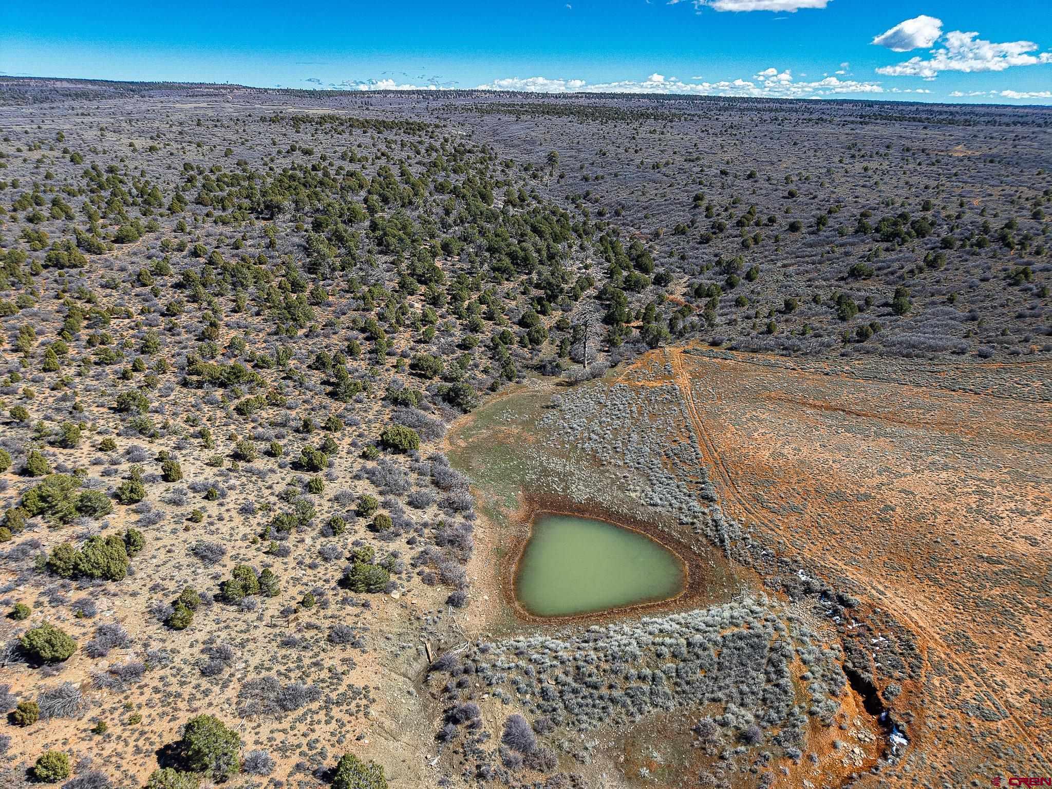 Tbdwp County Line Road Dove Creek, CO 81324 - Photo 8 of 41 a view of a dry yard with wooden floor