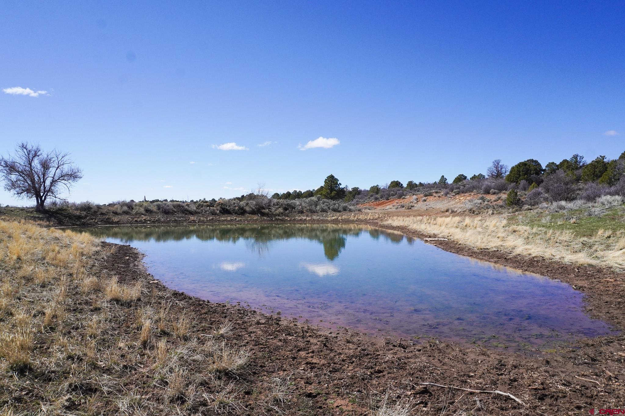 Tbdwp County Line Road Dove Creek, CO 81324 - Photo 9 of 41 a view of a lake in middle of forest