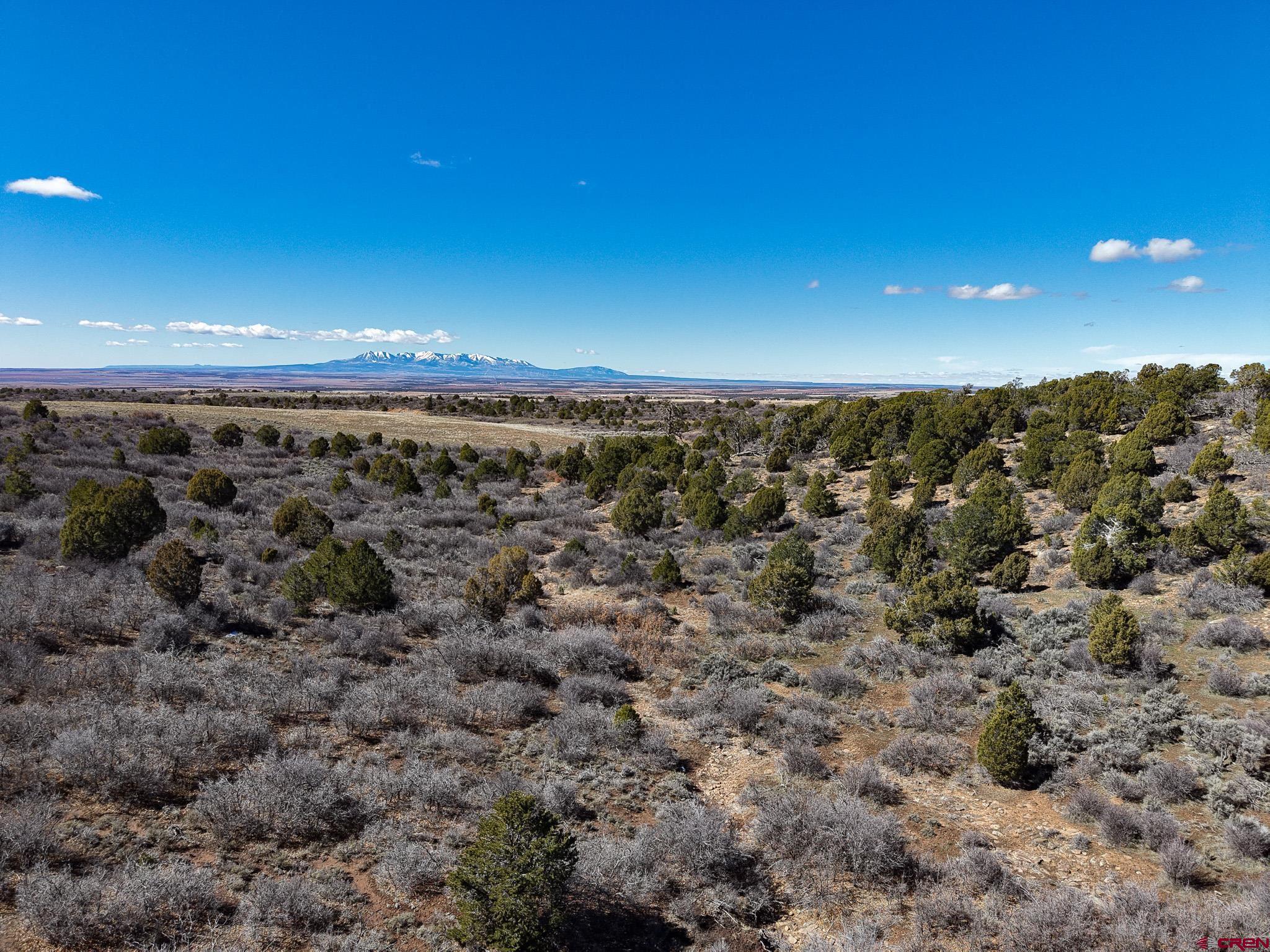 Tbdwp County Line Road Dove Creek, CO 81324 - Photo 10 of 41 a view of a city and mountain in a yard