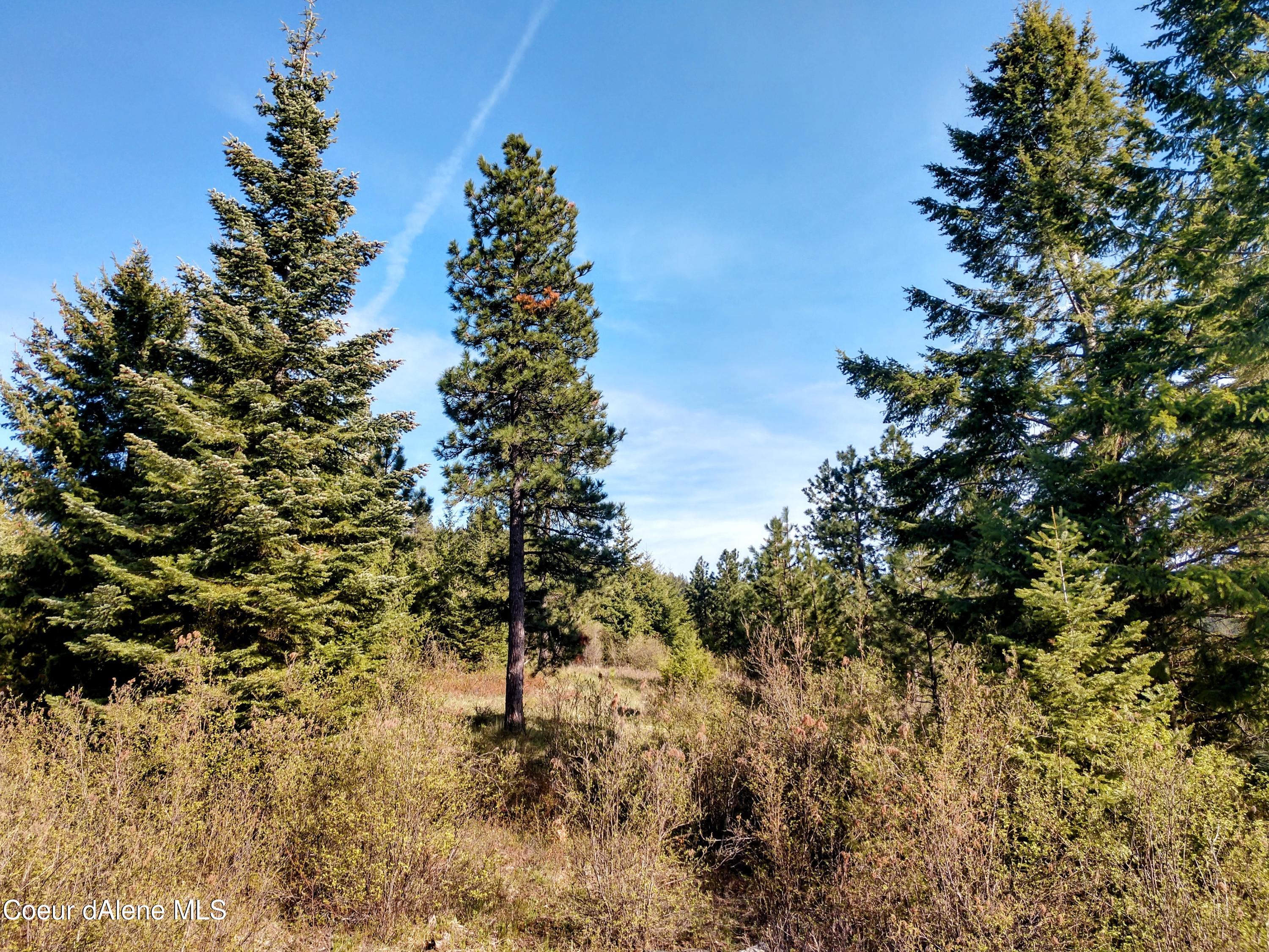 Nna East Alamo Road Harrison, ID 83833 - Photo 36 of 44 Land