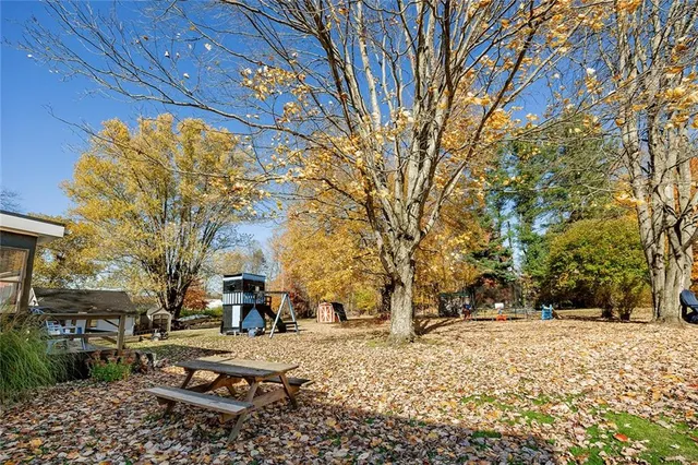 a tree in the middle of a yard