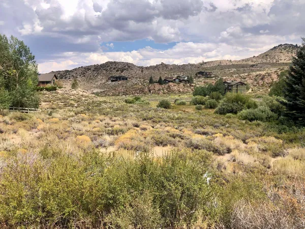 a view of a dry yard with mountains in the background