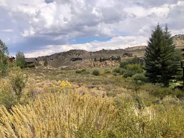 a view of a large tree with mountains in the background