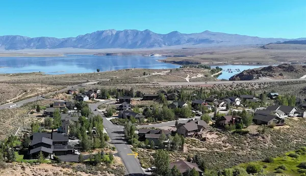 a view of a house with a yard and a large tree