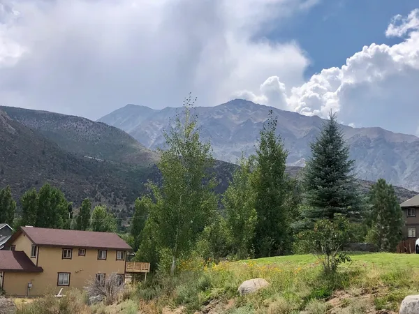 an aerial view of houses covered in trees
