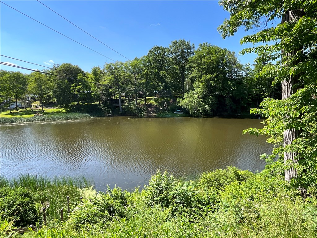 13283 Lakeside Park Road Carlton, NY 14571 - Photo 15 of 15 A view of Johnson Creek.