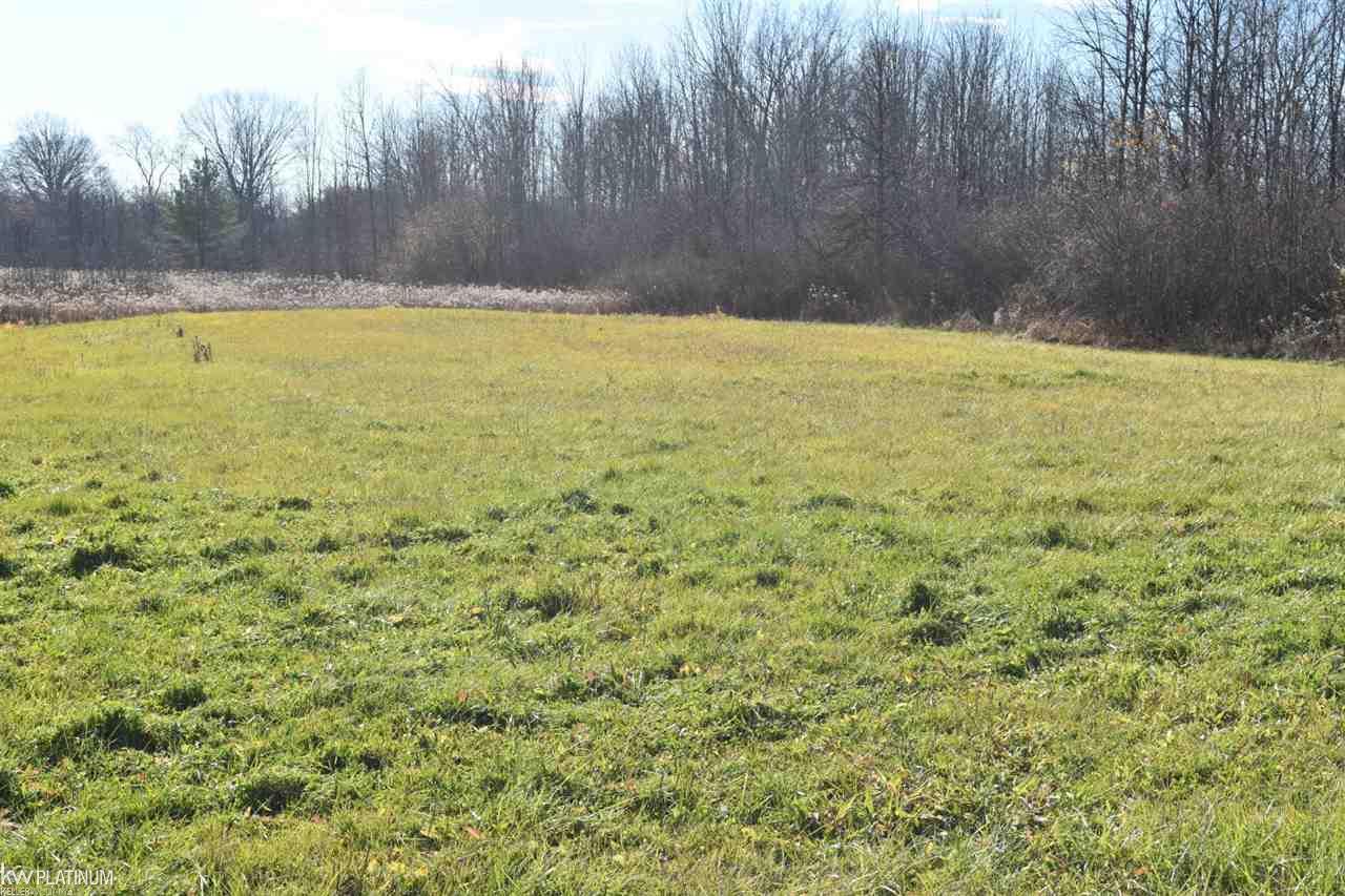 4179 Kilgore Road Avoca, MI 48006 - Photo 11 of 51
