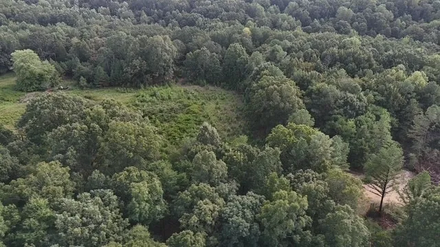an aerial view of forest