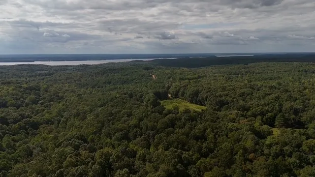 a view of a yard with an outdoor space
