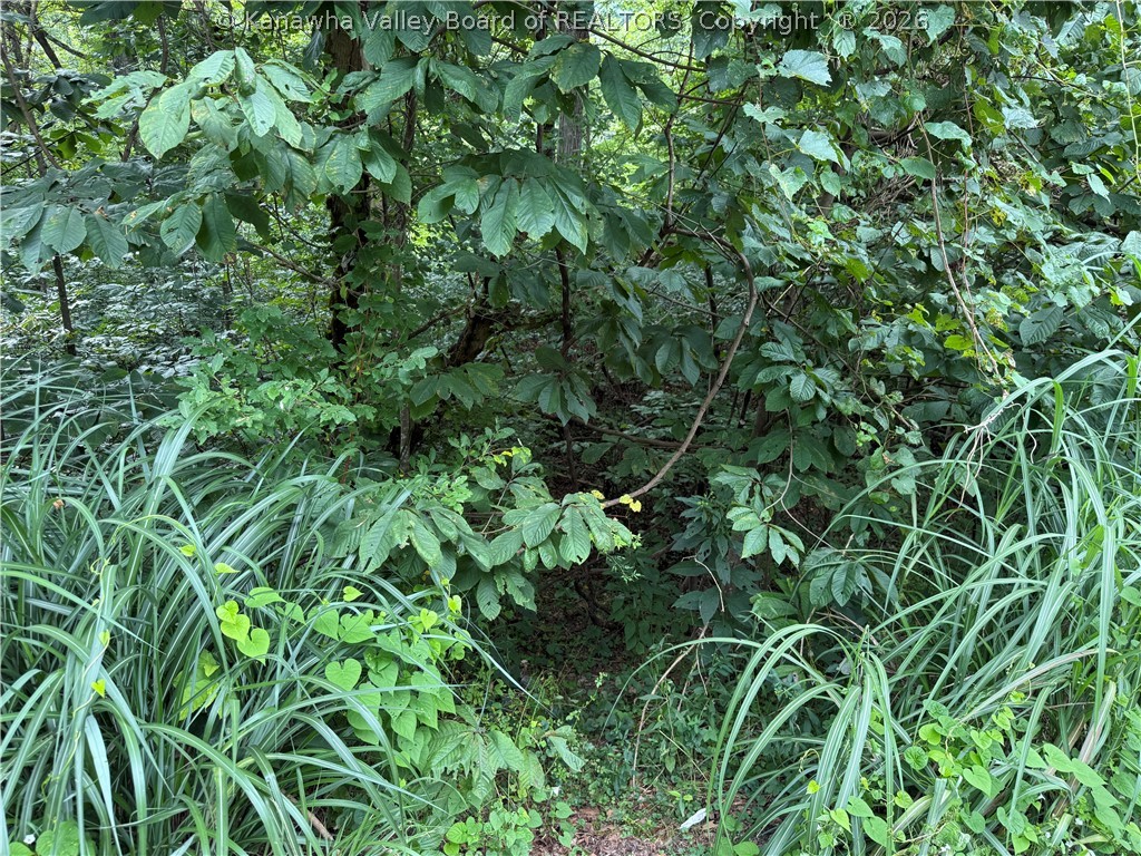 0 South Elk River Road Clendenin, WV 25045 - Photo 7 of 13 Gallery Image 7