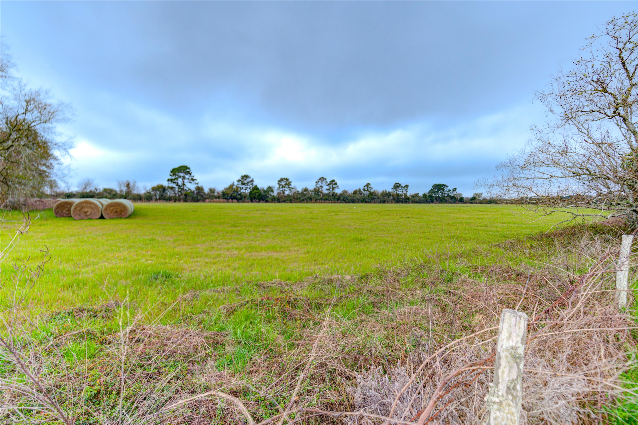 29241 Burton Cemetery Road Waller, TX 77484 - Photo 22 of 25