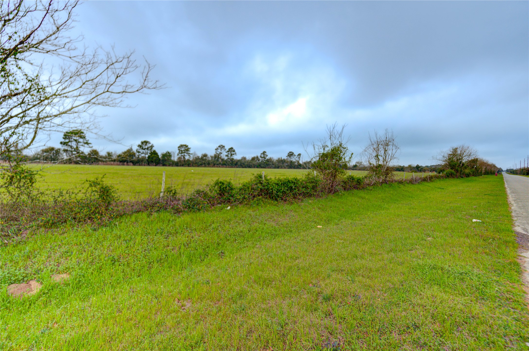 29241 Burton Cemetery Road Waller, TX 77484 - Photo 23 of 25