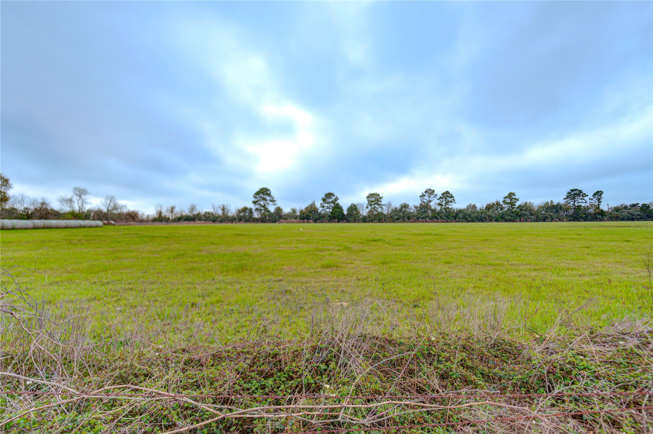 29241 Burton Cemetery Road Waller, TX 77484 - Photo 24 of 25