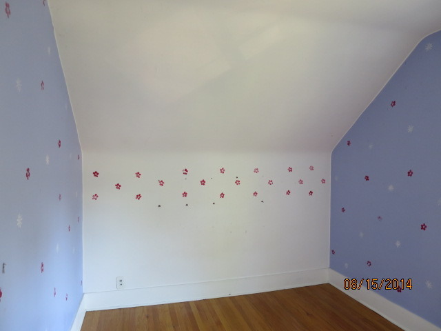 724 South 5th Street St. Charles, IL 60174 - Photo 11 of 24