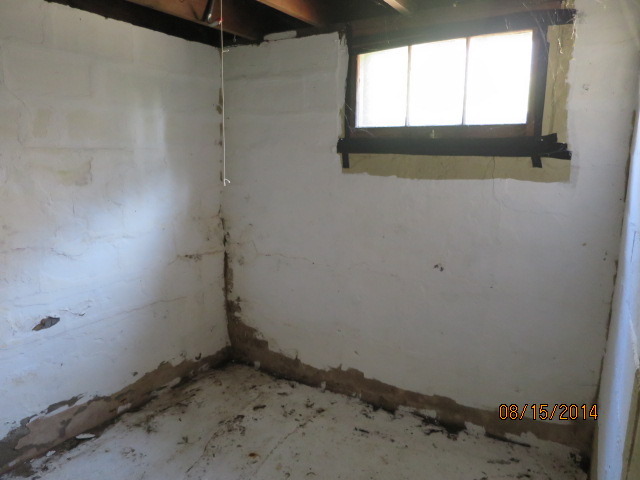 724 South 5th Street St. Charles, IL 60174 - Photo 21 of 24