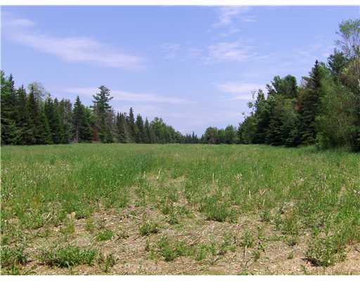 672 Bradford Road Charleston, ME 04422 - Photo 11 of 11 Land. Second field out back of the...