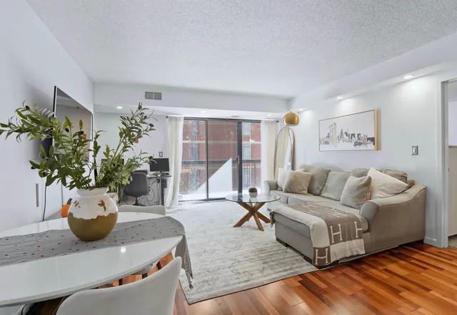 a living room with furniture and a potted plant