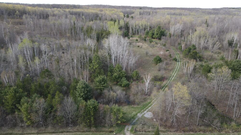 Vl Curtisville Road Mio, MI 48647 - Photo 3 of 141 3