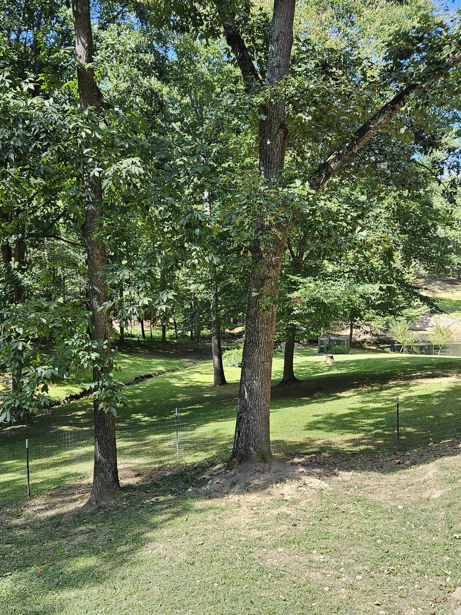 212 Carter Ridge Road Westmoreland, TN 37186 - Photo 12 of 16 Gallery Image 12