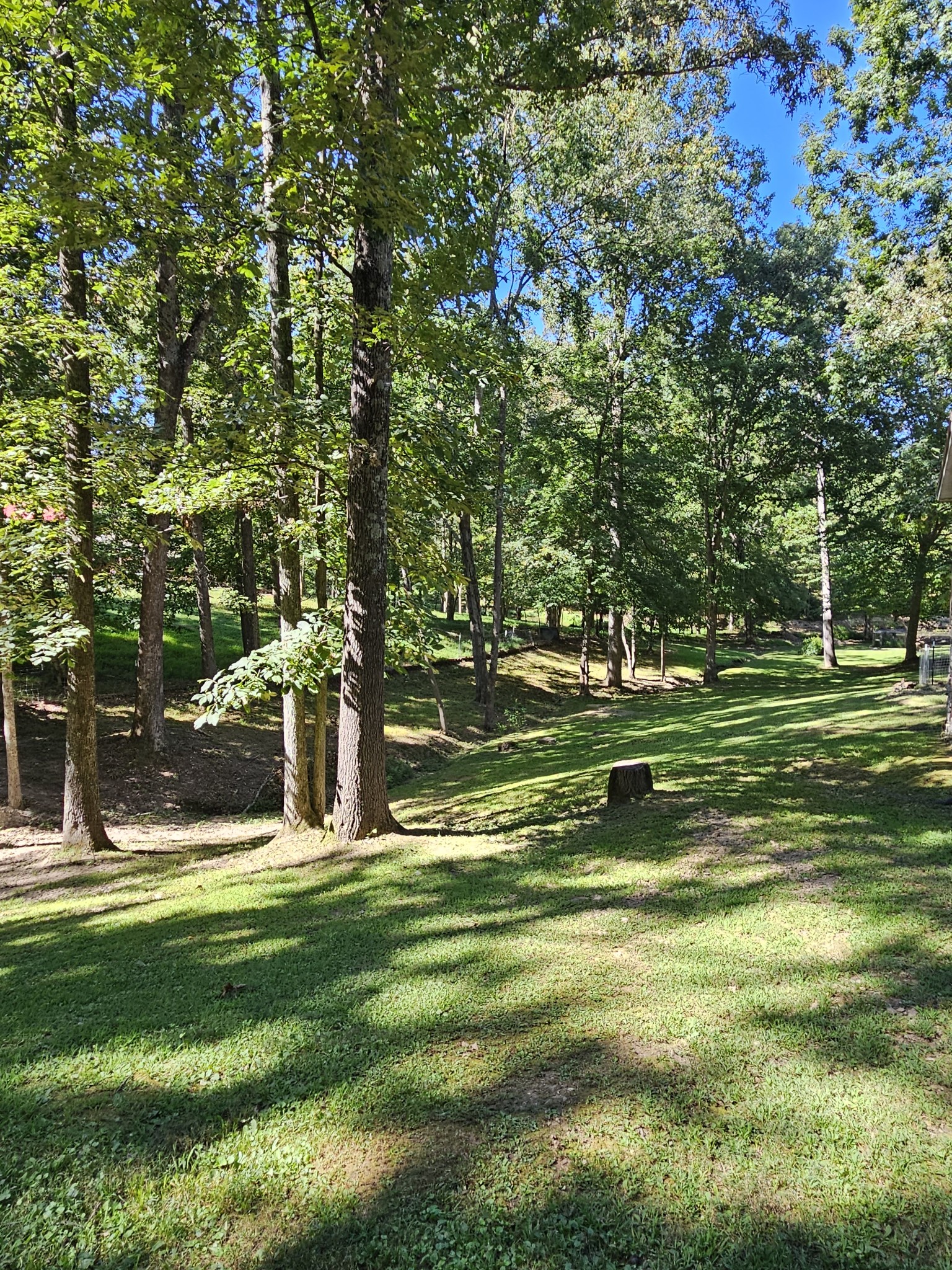 212 Carter Ridge Road Westmoreland, TN 37186 - Photo 13 of 16 Gallery Image 13