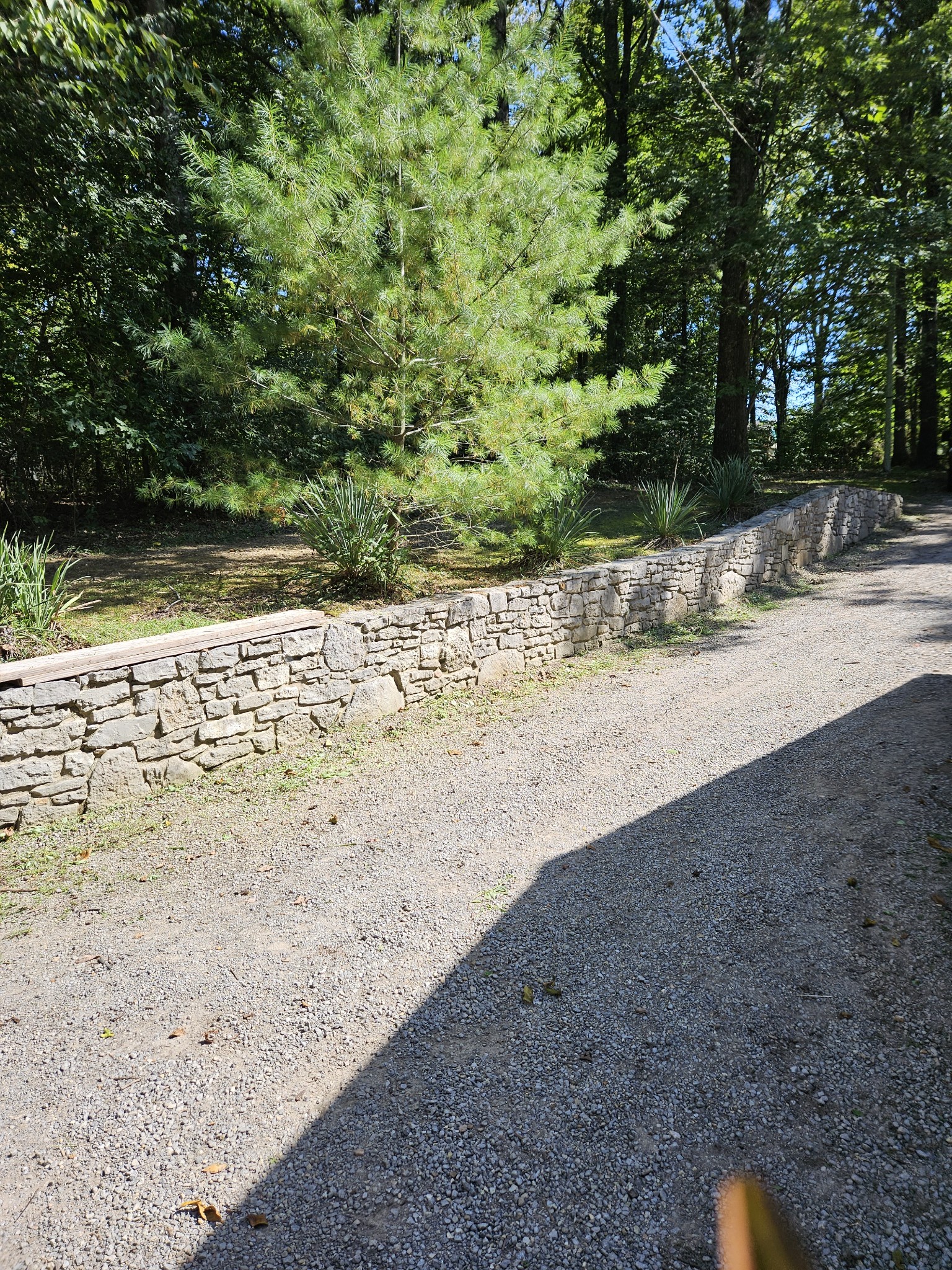 212 Carter Ridge Road Westmoreland, TN 37186 - Photo 15 of 16 Gallery Image 15