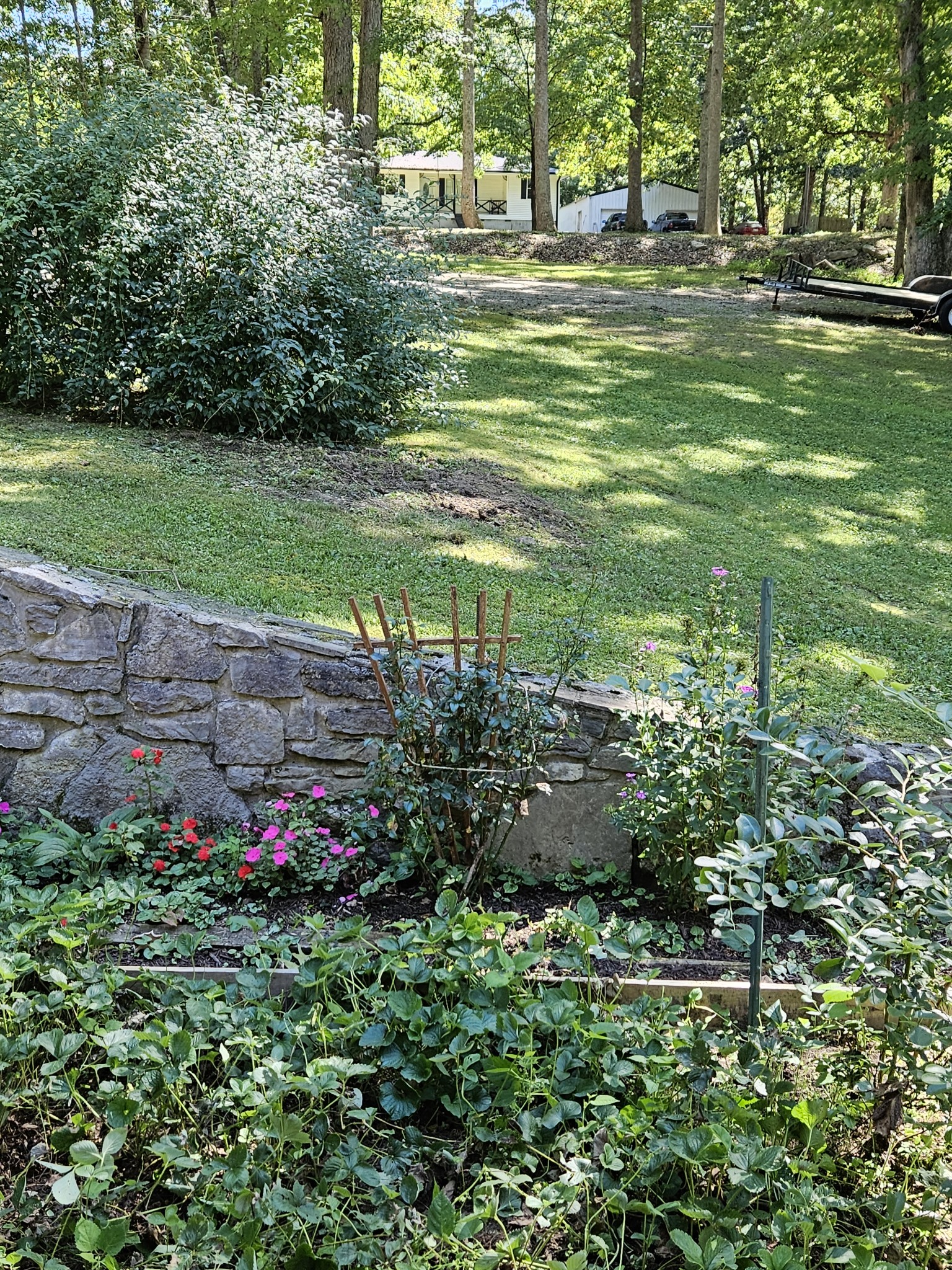 212 Carter Ridge Road Westmoreland, TN 37186 - Photo 16 of 16 Gallery Image 16